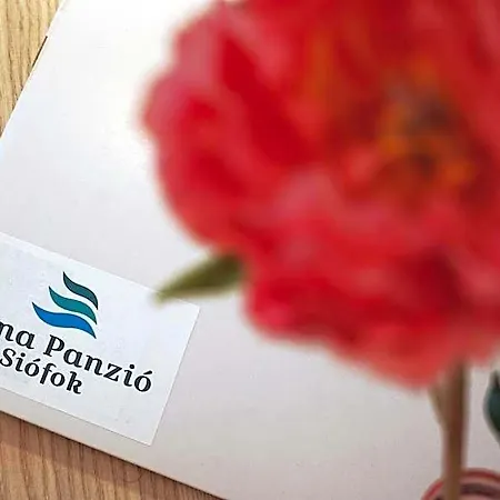 Anna Panzio & Wellness 住宿加早餐酒店 4*