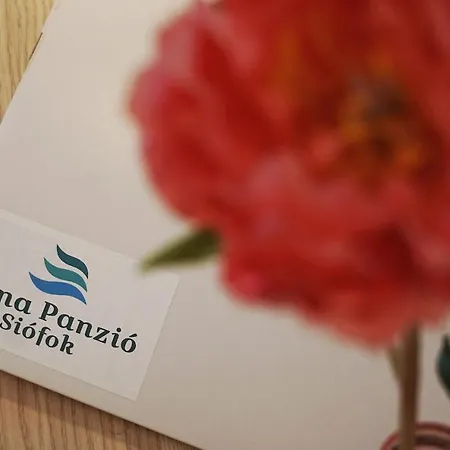 Anna Panzió&wellness 4*