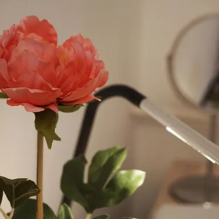 Panzió Anna Panzió&wellness 4*